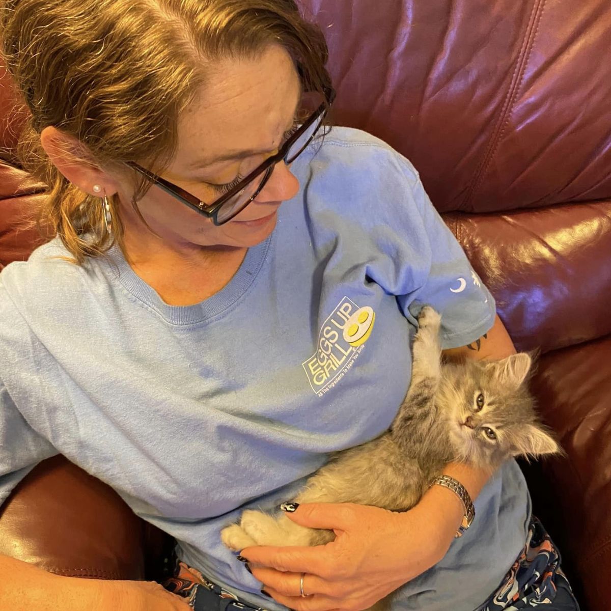 woman and cute gray kitten