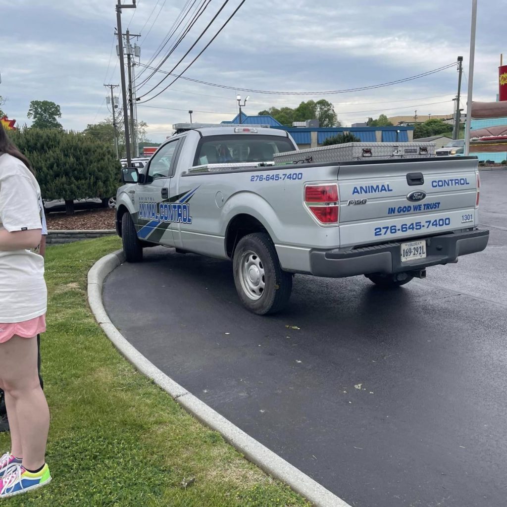 woman and pickup