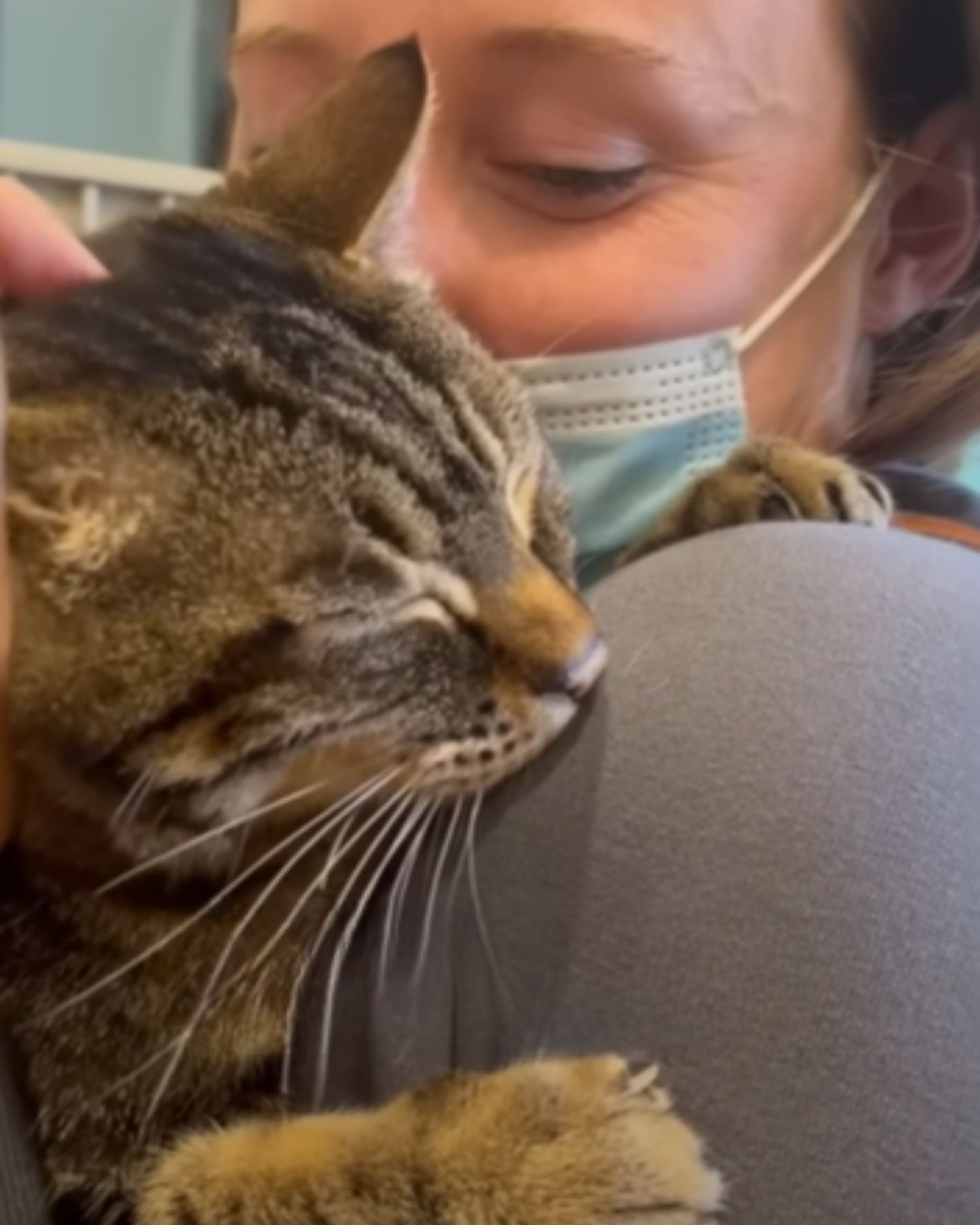 woman with mask holding a cat