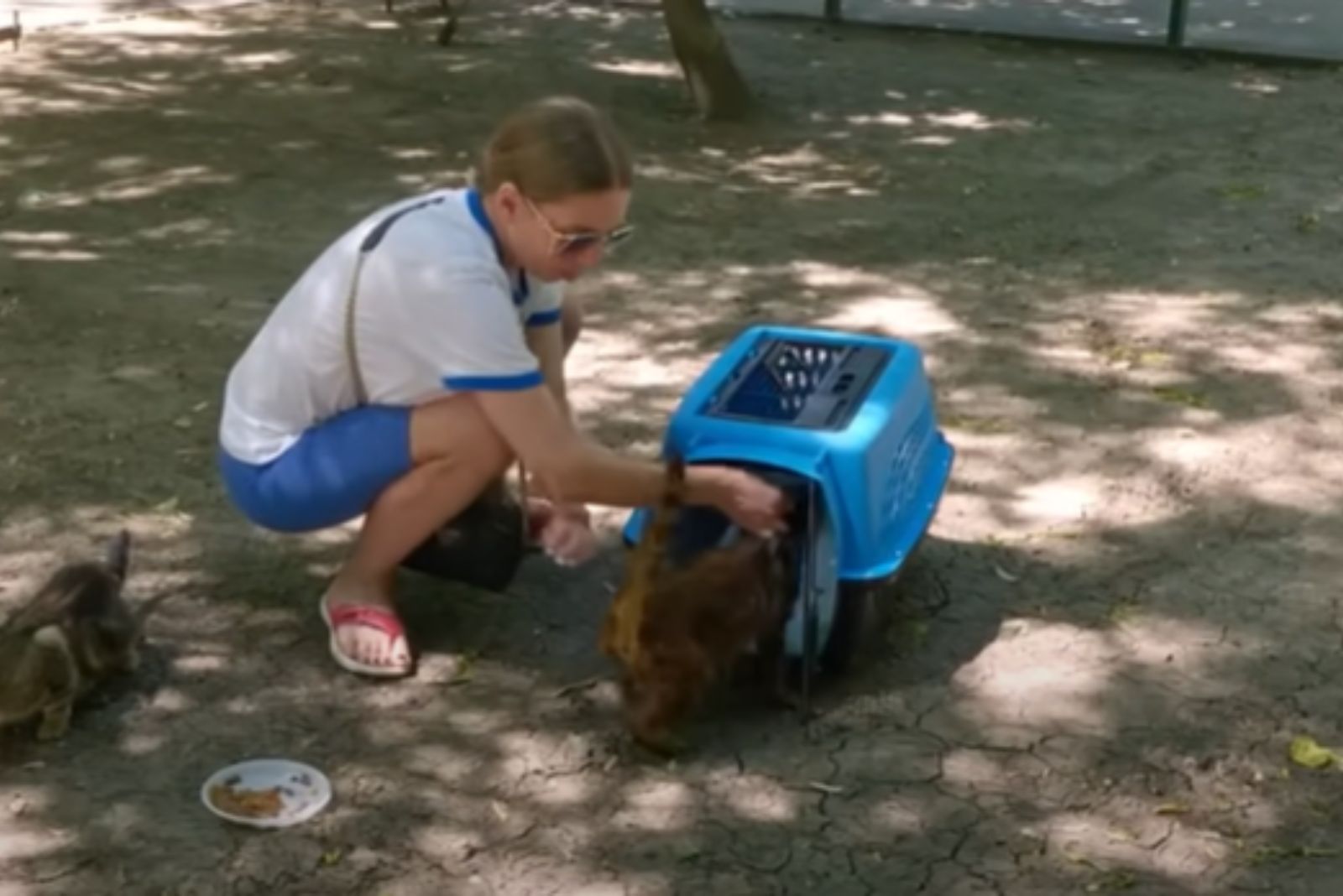 a girl helping blind cats