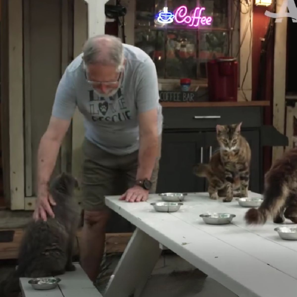 man and three senior cats