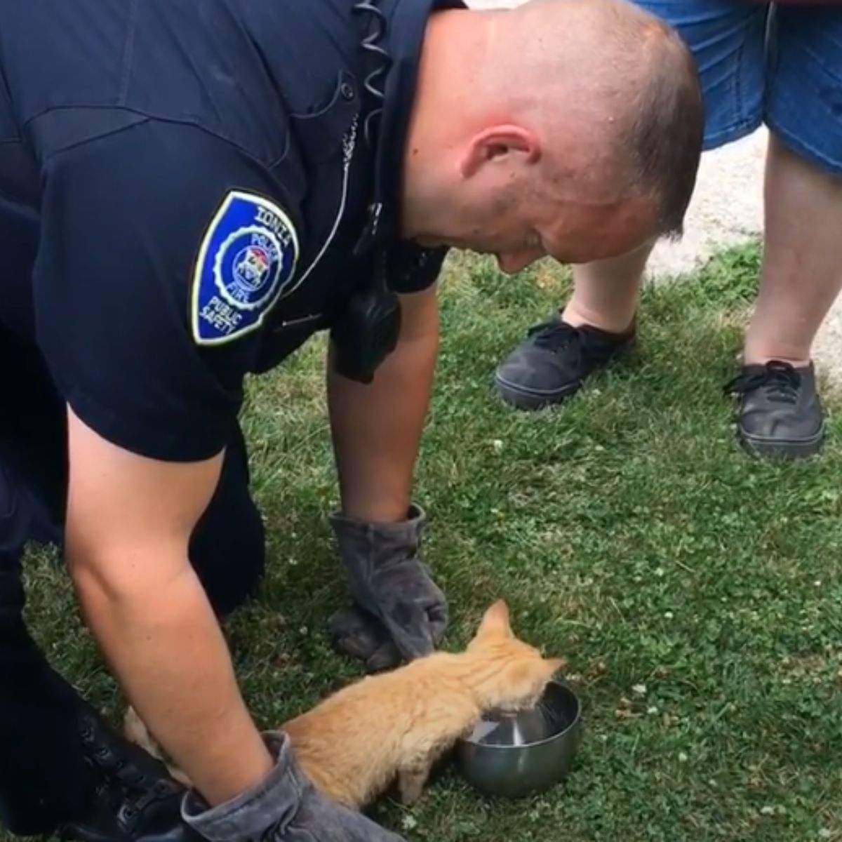 officer and dehydrated kitten