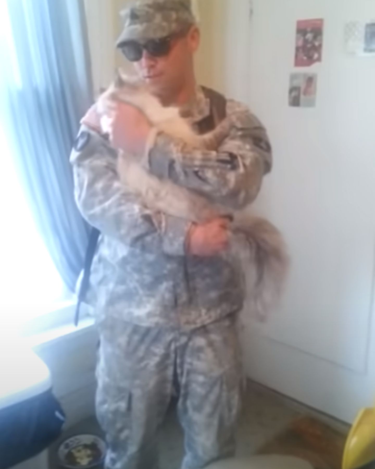 soldier holding the cat