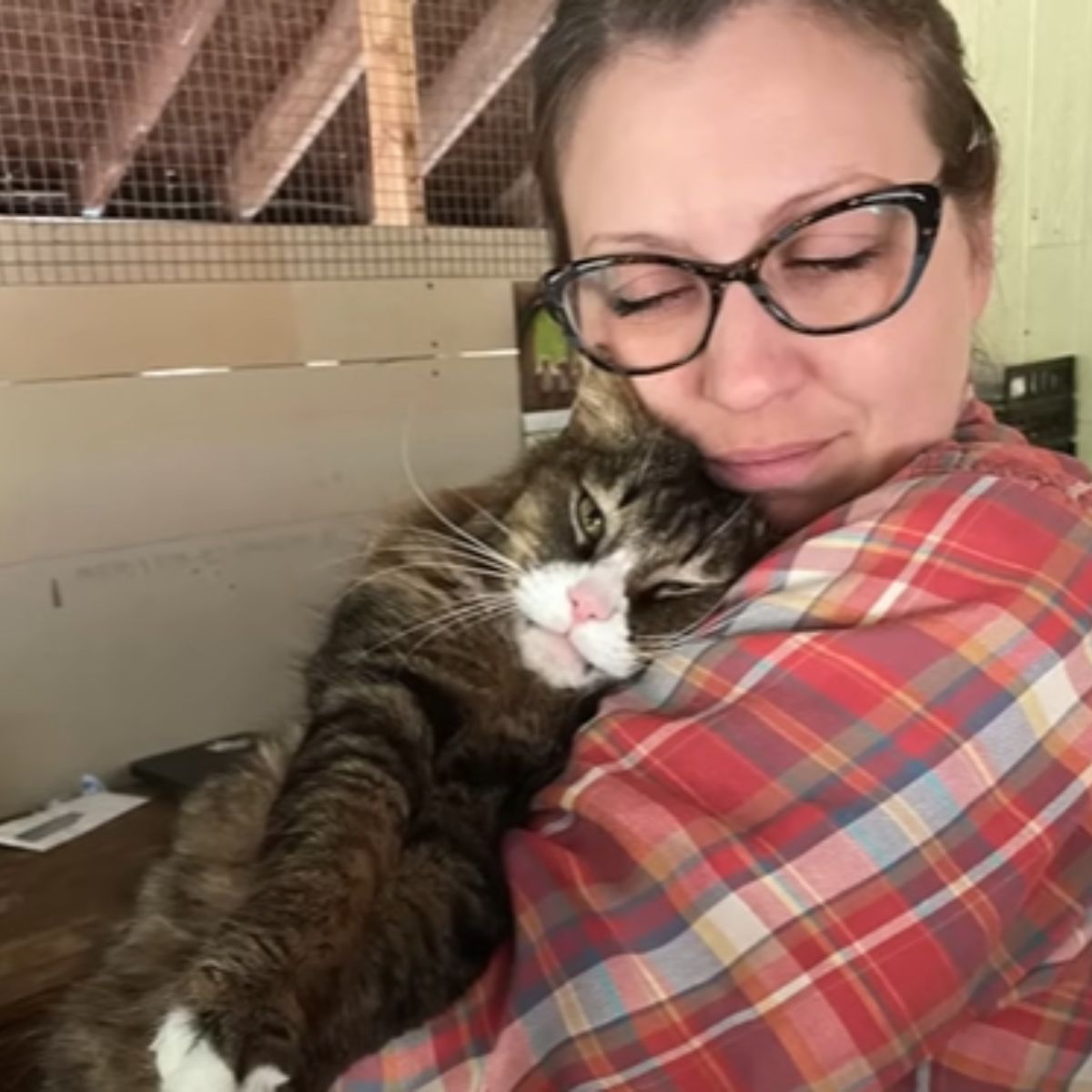 woman and scary cat