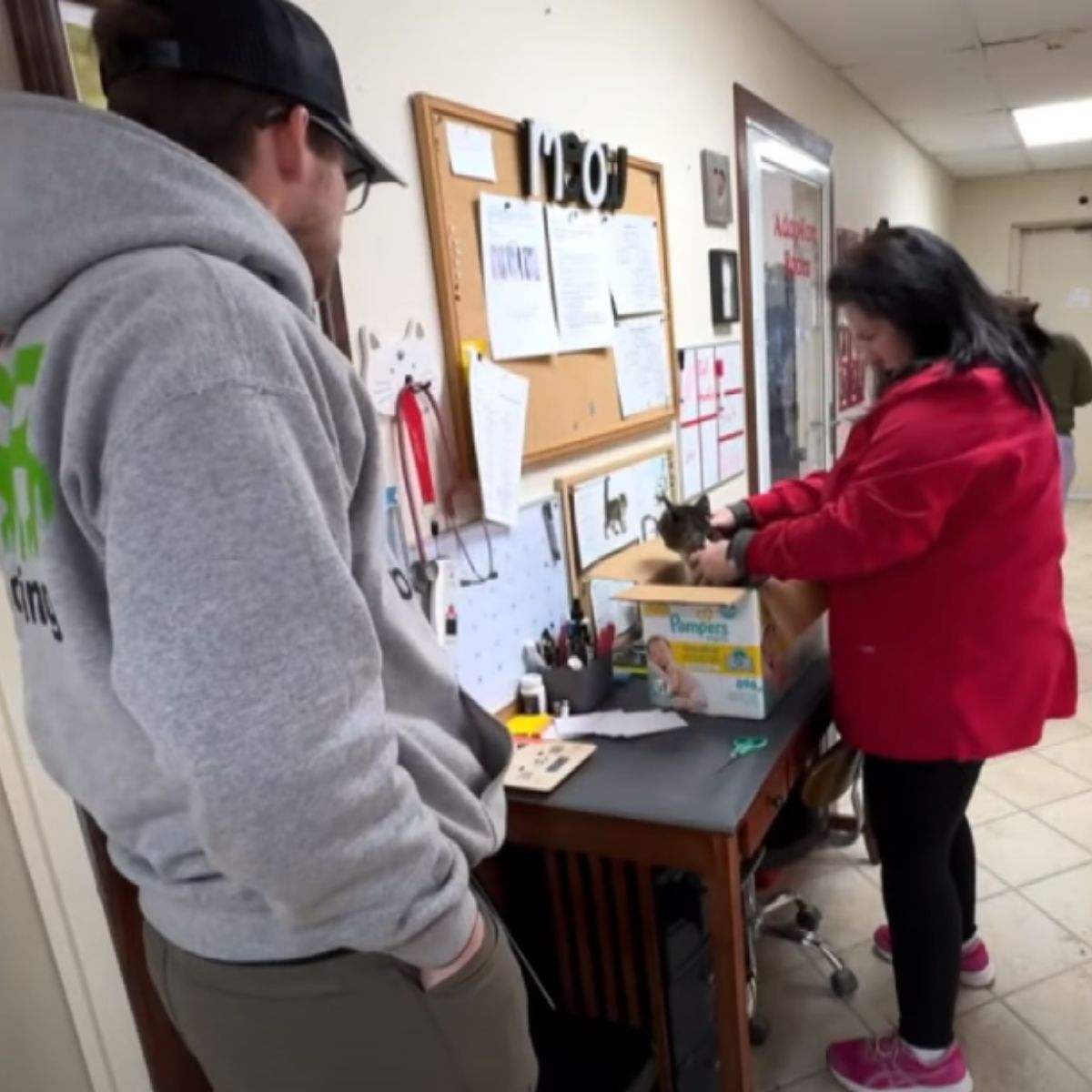 woman opening a crate with cat