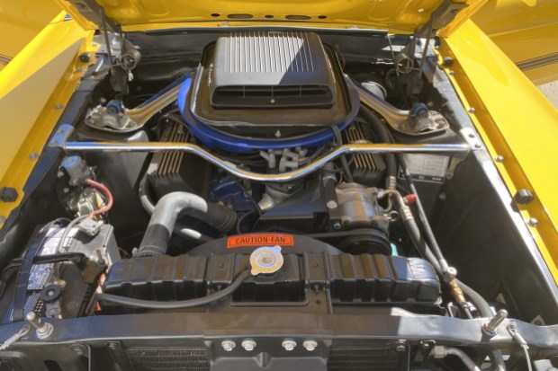 34-Years-Owned 1969 Ford Mustang Mach 1 428 Cobra Jet