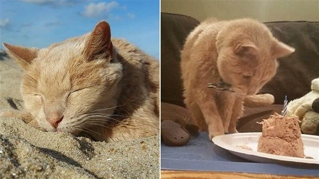 As part of his bucket list, Tigger enjoyed a day at the beach. He also celebrated his 22nd birthday this past weekend.