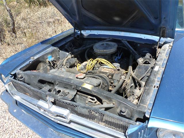 1965 Ford Mustang (CC-1680164) for sale in Tucson, Arizona