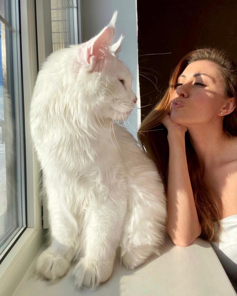 Yuliya Minina poses with her cat Kefir as he sits in the window. 