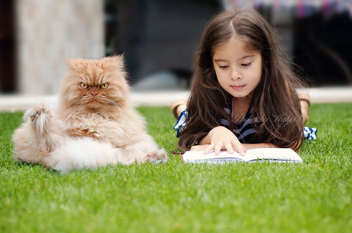 Meet Garfi, The World's Angriest Cat