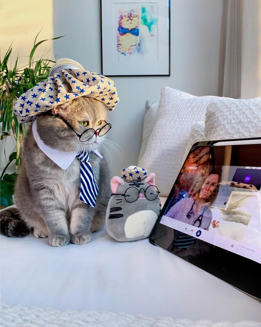 Meet Benson, The Kitten Abandoned By Its Former Owners And Now Adored By 170,000 Followers On Instagram