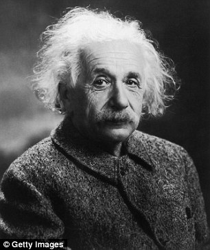 Albert Einstein was the source of inspiration for the cat due to sharing the same hair