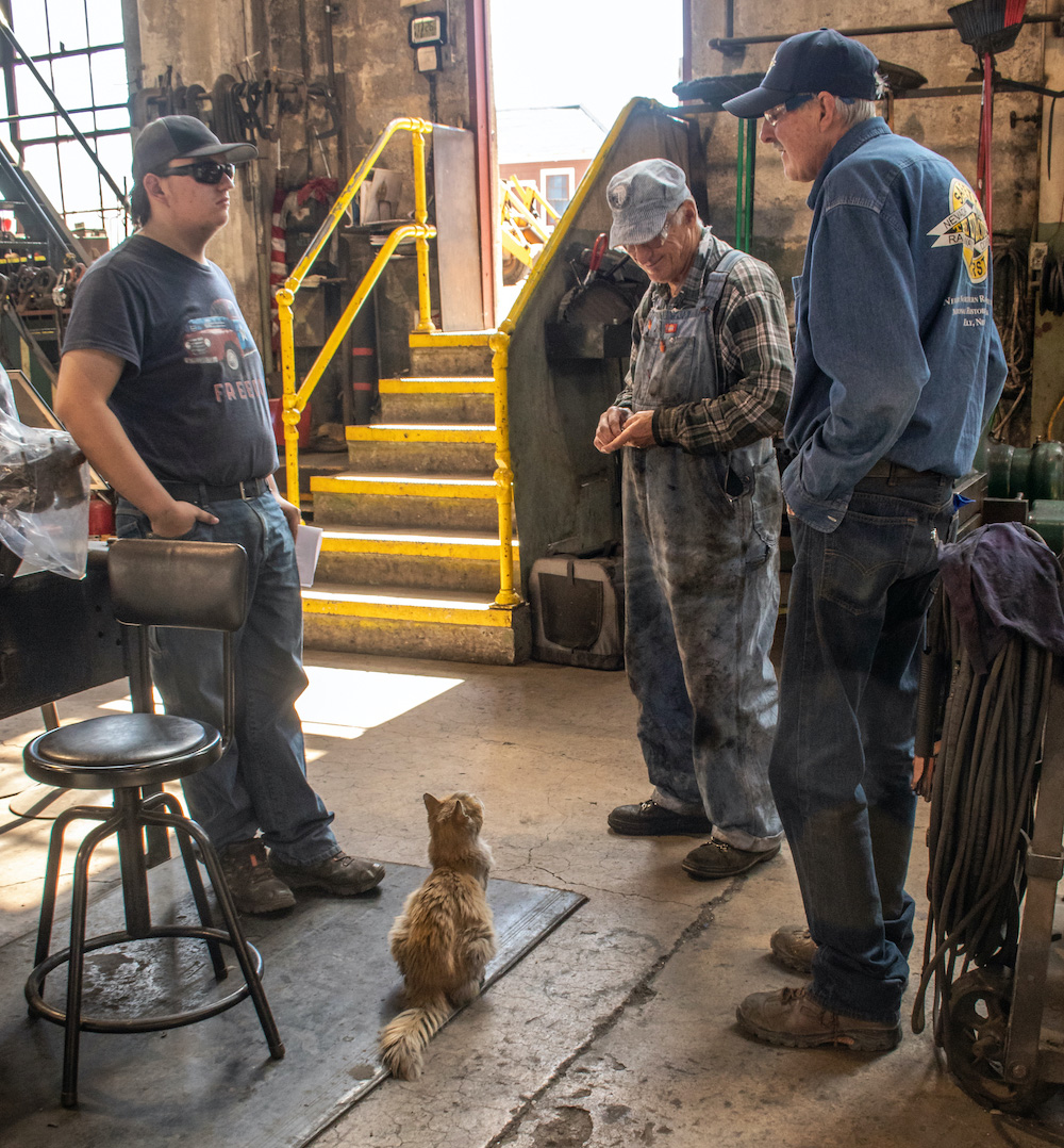 men in workshop with cat in middle