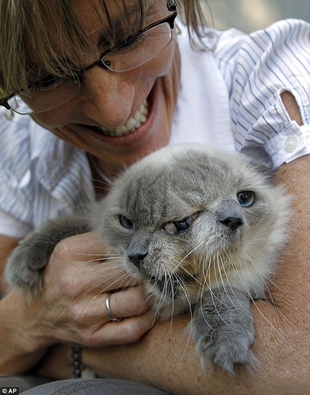 Precious: Marty Stevens is seen here at home with her beloved cat. She called the face on the left Frank, while the face on the right is identified as Louie