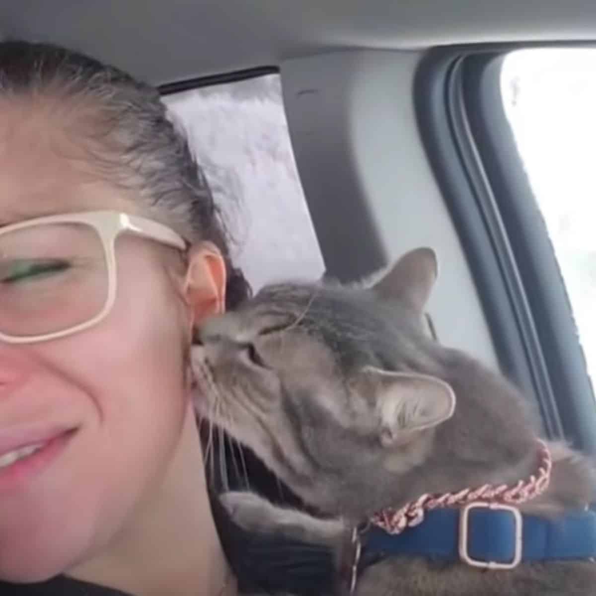 cat licking woman’s face