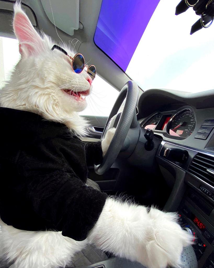 Kefir wears sunglasses and a black shirt as he sits behind the wheel of a car. 