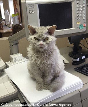 Albert constantly maintains his look of anger and disapproval