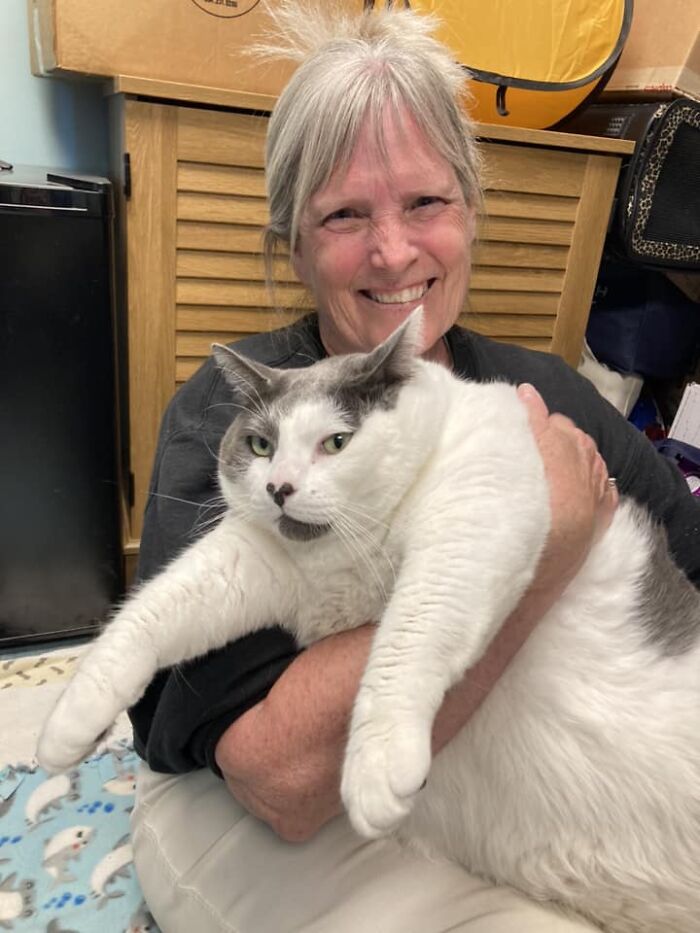 The Journey Of Patches, A 40-Pound Cat, Begins Anew After He Gets Adopted And Is Put On A Special Diet