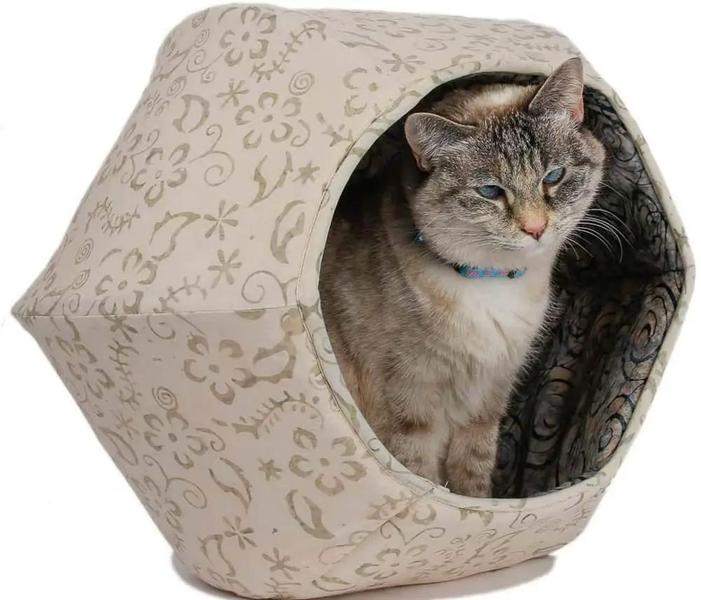 Top 10 Best Cat Beds:  The Cat Ball