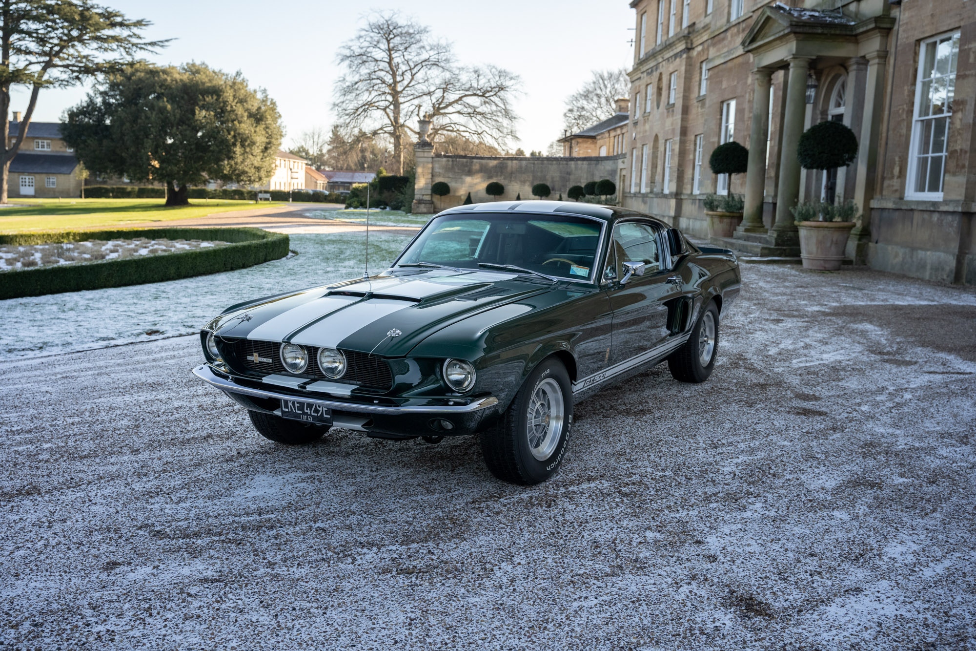 1967 SHELBY GT500