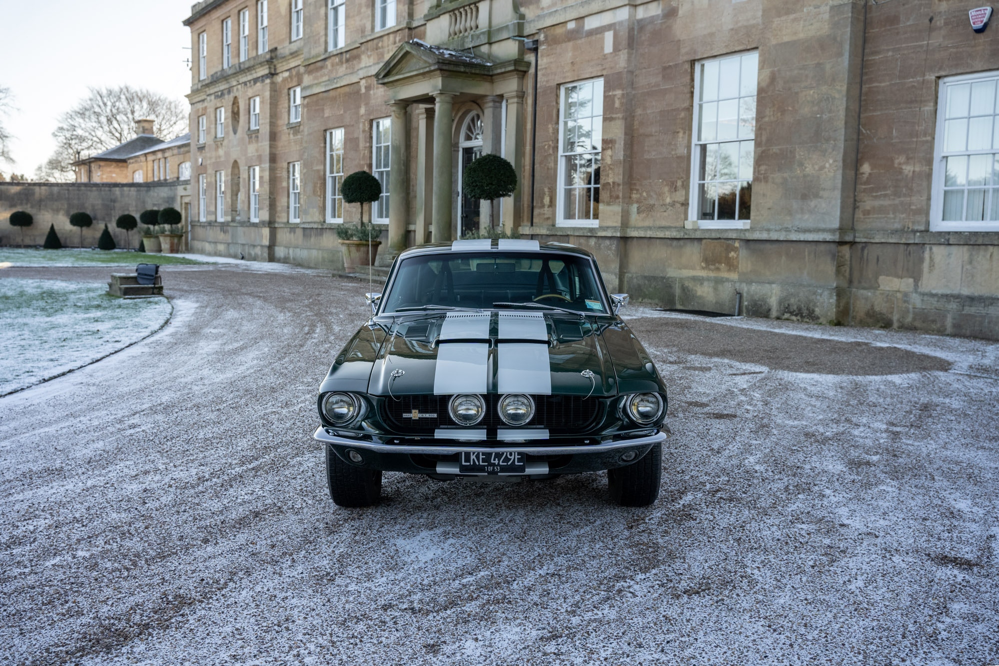 1967 SHELBY GT500