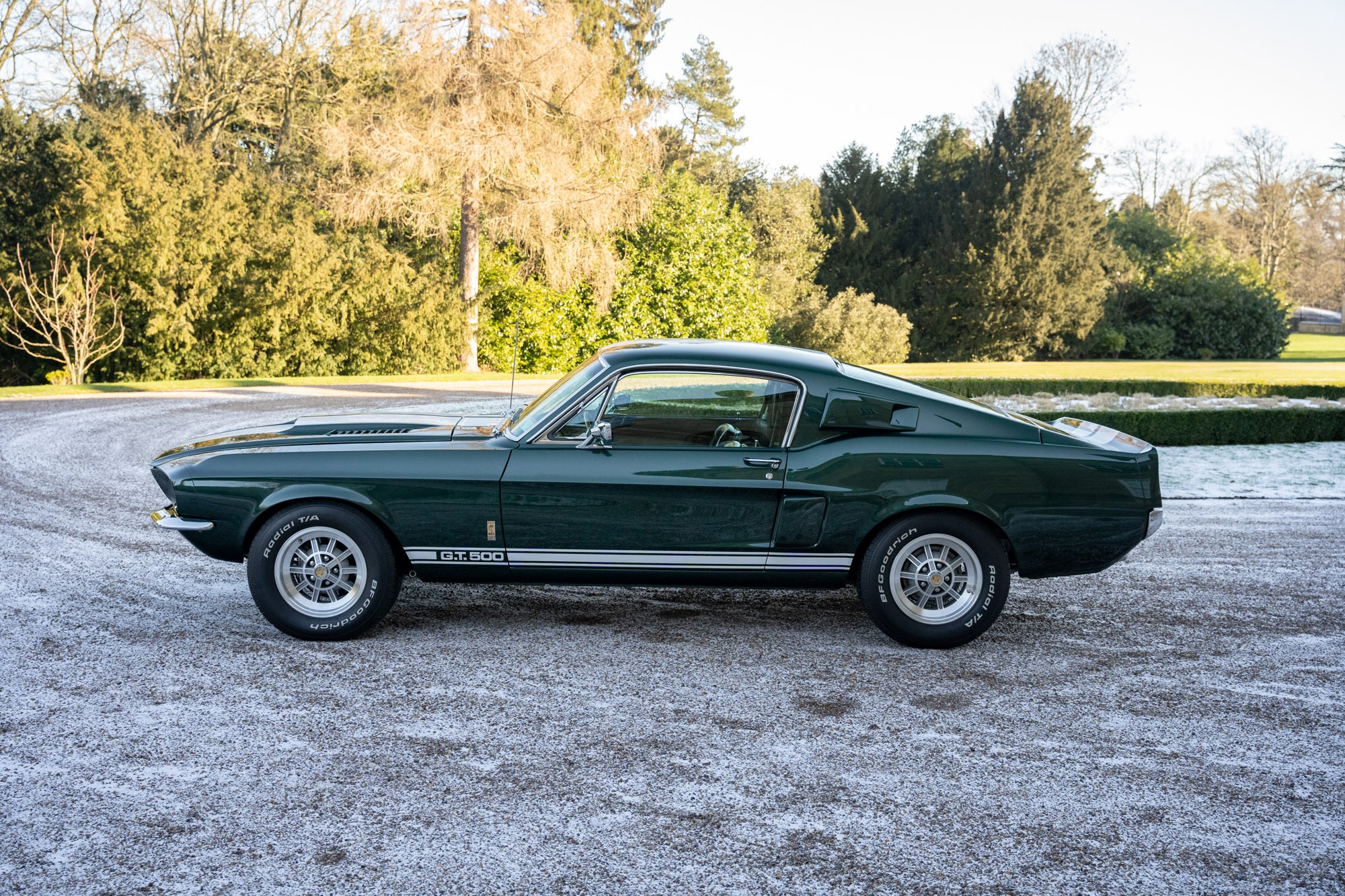 1967 SHELBY GT500