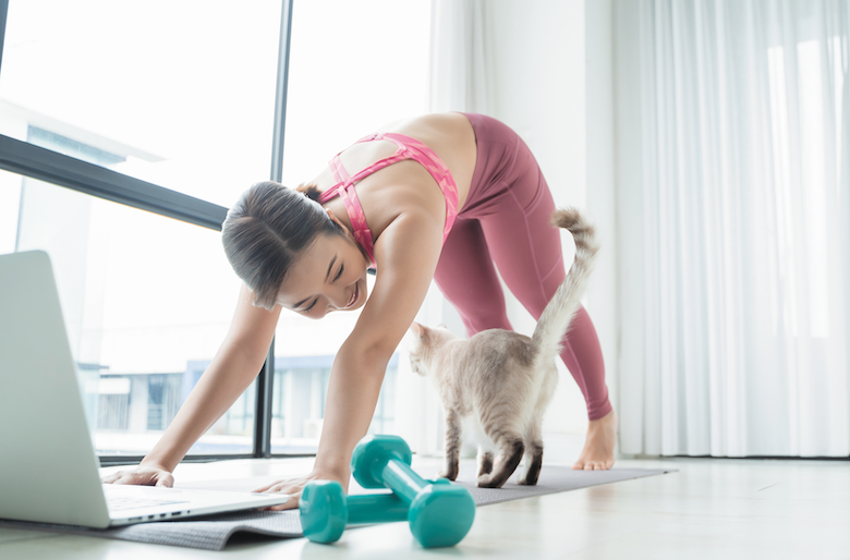 How to Make Your Cat Your Workout Buddy 