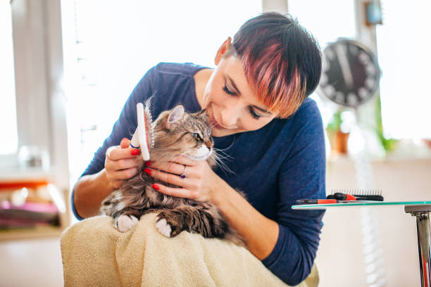 Brushing Your Cat's Coat Regularly