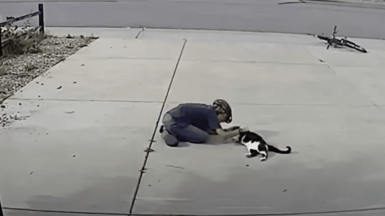 Boy Pays Visits To Misunderstood Cat, Judged For His ‘Off-Putting’ Appearance