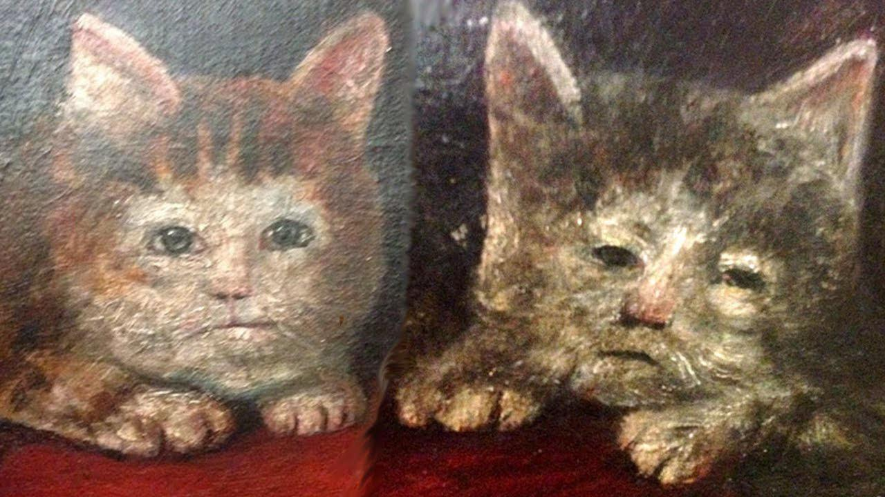 Cats in Medieval Europe