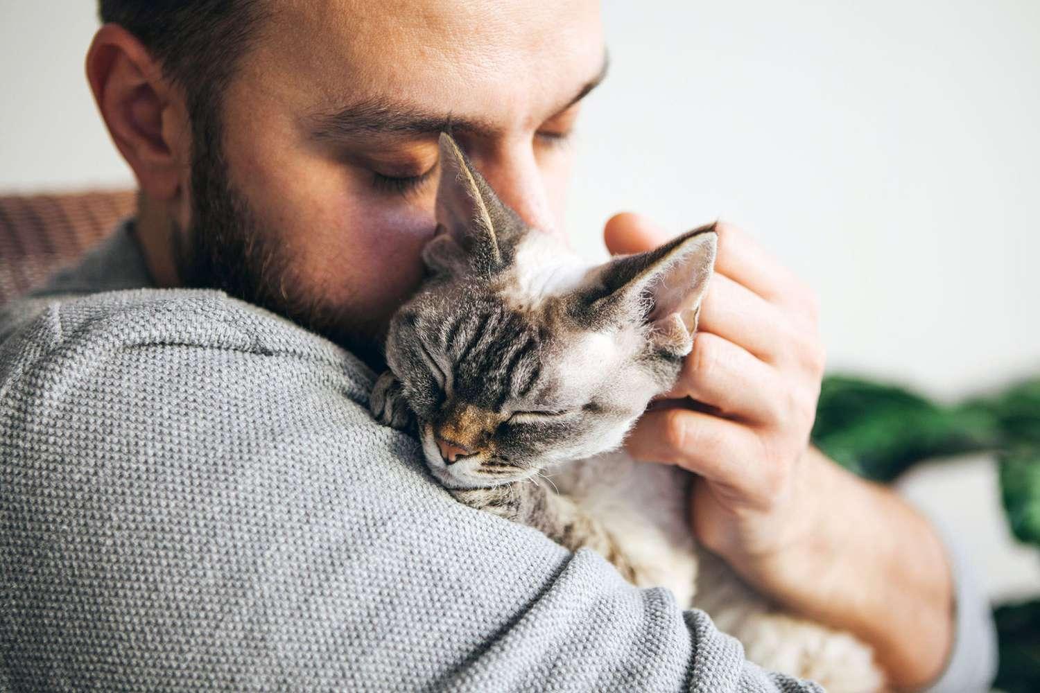 Are Male Cats More Affectionate? Experts and Research Say It Depends