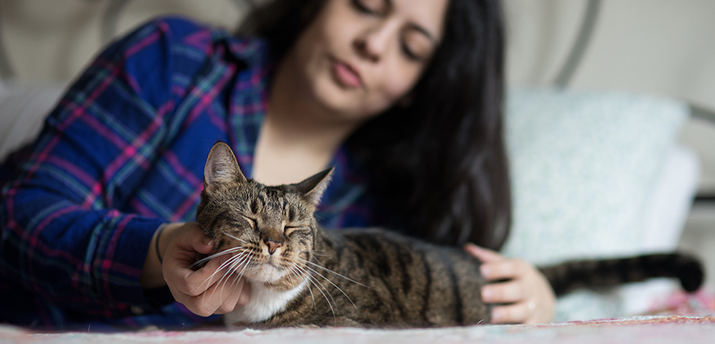 Special Bond and Emotional Connection
 With A Senior Cat